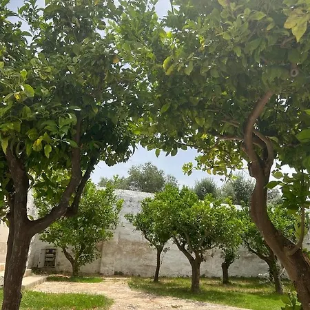 Masseria Piccole Taverne ファームステイ *