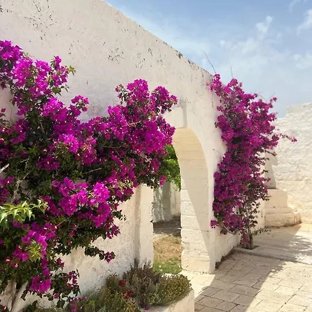 Masseria Piccole Taverne ファームステイ ローザ・マリーナ