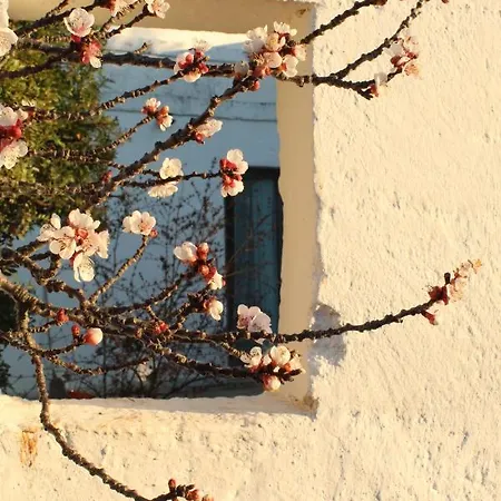 Masseria Piccole Taverne ローザ・マリーナ