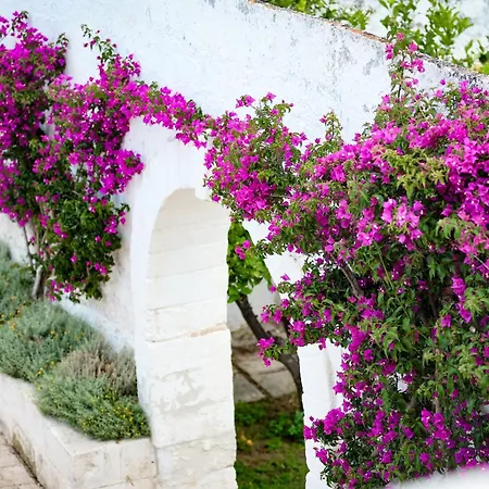Masseria Piccole Taverne ファームステイ